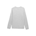 Miniatyrbillede 2 af 2: Sweatshirts 4F SWSM349 Grå 179 - 182 cm/L
