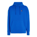 Pikkukuva 1 / 5: Puserot je Fleecet Tommy Hilfiger DM0DM16369C66 Vaaleansiniset 184 - 188 cm/XL
