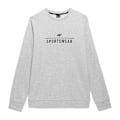 Miniatyrbillede 1 af 2: Sweatshirts 4F SWSM349 Grå 179 - 182 cm/L