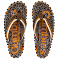 Miniatyrbillede 4 af 4: Flip-flops Gumbies Cairns Brun 44