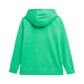 Pikkukuva 2 / 5: Puserot je Fleecet 4F SS23TSWSF53541S Vihreät 174 - 177 cm/XL