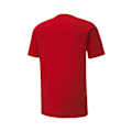 Pikkukuva 2 / 2: T-paidat Puma Teamgoal 23 Punainen 182 - 187 cm/L