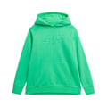 Pikkukuva 1 / 5: Puserot je Fleecet 4F SS23TSWSF53541S Vihreät 174 - 177 cm/XL