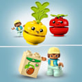 Miniatyrbillede 5 af 6: LEGO® DUPLO Min første 10982 frugt- og grønttraktor, stable- og sorteringslegetøj Flerfärgad