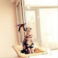 Miniatyrbild 4 av 5: 3 St Katt Leksak, Inomhus Kattleksak, Interaktiv Kattleksak, Fjäderleksak, Katt Fjäderleksak, Interaktiv och Träningsleksak för Inomhusdjur
