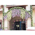 Miniatyrbillede 3 af 5: Lilla Blå-5 Dele Kunstig Wisteria Blomsterguirlande, 5 Dele I Alt 10 Meter Falsk Wisteria Vinstok Silke Blomst Hængende til Hjemmehavefest Bryllup Ar