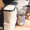 Miniatyrbillede 2 af 4: Kradsemåtte til katte - venstre sidebeskyttelse sofa møbler gulv væg - sisal og linned tæppe egnet til killing hund mørkegrå