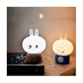 Miniatyrbillede 4 af 5: Kanin Natlampe Silikone Sød Bordlampe med Timer Børnenatlampe Dekorativ Lampe-b
