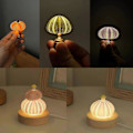 Miniatyrbilde 2 av 2: Mini Sjøpiggskall Lampe Dekorativ Lampe Simulert Sjøpiggskall og Simulert Sukkulent Plante Soveromsdekorasjoner