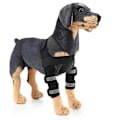 Miniatyrbillede 1 af 5: Sort (S) Kæledyrsartikler Knæbeskyttere Hundebensbeskyttere Hundebensbeskytter Kæledyr Hund Kirurgi Sår Dækning