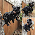 Miniatyrbillede 3 af 5: Dyrefigurer Resin Bjørn Vægmonteret Kunststatue Have Gårdindretning Gave