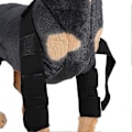 Miniatyrbillede 2 af 5: Sort (S) Kæledyrsartikler Knæbeskyttere Hundebensbeskyttere Hundebensbeskytter Kæledyr Hund Kirurgi Sår Dækning