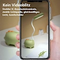 Miniatyrbilde 4 av 4: Søt Silikon Dinosaur Lampe, Ubrytelig Plast Medium Størrelse Bordlampe, Bærbar LED Nattlampe med Dimbar Oppladbart Batteri, Øye