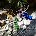 Miniatyrbild 3 av 5: 4-pack Kristallfigurer för Samling