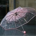 Transparent Klart Paraply Körsbärsblom(Rosa)