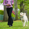 Miniatyrbild 3 av 4: Hundkoppel Husdjurskoppel Indragbart Träningskoppel Långt Max 30 kg Utdragbart 3M Red
