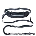 Flexibelt hundkoppel med midjeväska