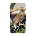 Miniatyrbild 1 av 3: Fågel Gråsparv Samsung Galaxy A35 5G Flip Mobilfodral