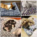 Miniatyrbild 6 av 8: Hundsäng Pet Kudde Filt Mjuk Fleece Cat Cushion Puppy Sofa A