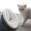 Miniatyrbild 4 av 7: Sovsäck för katt, varm inomhuskattgrottbädd, mjuk plyschdjurs lugnande bädd, mysig husdjursbonbädd, vinterhusdjursbädd för hundar och katter upp till 6 kg (blå)