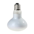 Miniatyrbillede 2 af 5: UVA+UVB Reptil Lampe Pære Skildpadde Solbadnings UV Lys Pærer Varmelampe Padder Firben Temperaturregulator 60W
