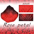Miniatyrbilde 2 av 4: 1000 stk. Kunstige roseblader for bryllupsdekorasjoner, romantisk kveld, Valentinsdag, arrangementer, hvit Dark red black