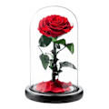 Miniatyrbillede 1 af 5: Evig Rose i Glaskuppel Romantisk Æstetisk Kunstig Evig Rose Blomst i Glaskuppel Gave Møll Red