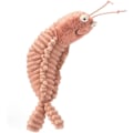 Miniatyrbild 2 av 4: Sheldon Shrimp Plyschleksak