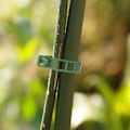 Miniatyrbillede 3 af 4: Planteklemmer til plantestøtter/espalier 100-pak - Grøn