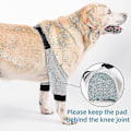 Miniatyrbild 4 av 5: Hund Armbågsskydd Justerbart Främre Ben Ärm Husdjur Operation Skada Återhämtning Skyddande Stöd 1 Par XL