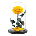 Miniatyrbillede 1 af 5: Evig Rose i Glaskuppel Romantisk Æstetisk Kunstig Evig Rose Blomst i Glaskuppel Gave Møll Yellow
