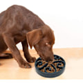 Miniatyrbild 4 av 5: 1 st Slowmatningskål för Hund, Långsam Ätningsskål för Mellanhundar, Rolig Pussel Slow Feed Halksäker Interaktiv Blo Blue
