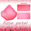 Miniatyrbilde 3 av 5: 1000 stk. Kunstige roseblader for bryllupsdekorasjoner, romantisk kveld, Valentinsdag, arrangementer, hvit Peach Red Gravity