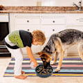 Miniatyrbild 5 av 5: 1 st Slowmatningskål för Hund, Långsam Ätningsskål för Mellanhundar, Rolig Pussel Slow Feed Halksäker Interaktiv Blo Green