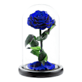 Miniatyrbillede 1 af 5: Evig Rose i Glaskuppel Romantisk Æstetisk Kunstig Evig Rose Blomst i Glaskuppel Gave Møll Denim blue