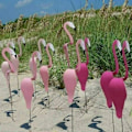 Miniatyrbilde 2 av 5: Florida Dansende Fugler Hage Metallkunst, Fargerik Virvlende Fugl, Dynamisk og Lekfull Flamingo Vindspinner Hageskulptur Pink