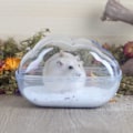 Miniatyrbild 2 av 4: Hamster Sandbad Behållare Transparent Hamster Dammbad Kit Dvärgtoalett Set Bur Tillbehör för Små Djur, Gerbil (Blå, Medium)