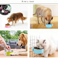 Miniatyrbillede 6 af 7: 1 STK 2-I-1 Aftagelig Hundebolle til Kasser Hvalpefodermater Vandskål med Boltholder Rustfrit Stål Hængende Skål til Kæledyr Blue Small - Square