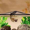 Miniatyrbillede 4 af 5: Akvarielåg med Magnetisk Anti-Hoppe Net - DIY Klar Beskyttende Net 40x25cm