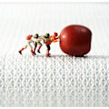 Miniatyrbild 2 av 3: Badrumsmattor Äppelform Röd med Ord Frukt Tvättbar Halkfri