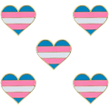 Pikkukuva 1 / 8: 5 kpl Biseksuaalinen ylpeys sydänmuotoinen rintaneula, pinssi, lippu, rintaneula Transgender