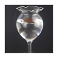 Miniatyrbild 5 av 5: Självbevattnande glasglober för växter - Handblåst, klar glas, för inomhus