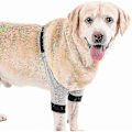 Miniatyrbild 3 av 5: Hund Armbågsskydd Justerbart Främre Ben Ärm Husdjur Operation Skada Återhämtning Skyddande Stöd 1 Par XL