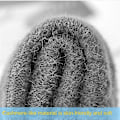 Miniatyrbilde 2 av 5: Vinter Alpaca Ull Fingerløse Hansker For Varme Menn Strikket Halvfingerhansker black