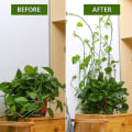 Miniatyrbilde 4 av 5: 50 plante klips Klatreplante klips Selvklebende planteholdere