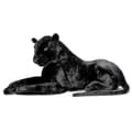 Deluxe Paws Stor Sort Panter Realistisk Udstoppede Plys Blød Legetøj 100cm xi -Sy
