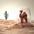 Miniatyrbild 2 av 5: 4 st Kryddförvaringsbehållare Innovativ Söt Djurdesign Kryddströare Kök Kryddburk Set för Hemmet