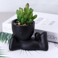 Miniatyrbilde 3 av 5: Sett med 2 kunstige sukkulentplanter, falske planter for skrivebord, bad, tilbehør til hjemmerom