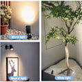 Miniatyrbilde 2 av 5: 2 stk LED-spotlights innendørs kompatibel med planter, 3 farger aksentbelysning dimbar opplys spotlight lampe med dimmerbryter 2 stk