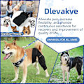 Miniatyrbild 4 av 5: Stor Hundeknäskydd för Rivna Acl Bakben för Stöd vid Korsbandsskada, Bättre Återhämtning med Hundbensstöd för Bakben -GSL XS